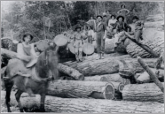 Loggers standing on log pile. Mill located at Glenray - 1 mile west of Alderson, W.Va
