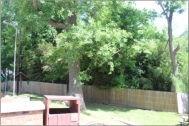 Outside the Privacy Fence around "The Shinnault", as seen from the Mini park.